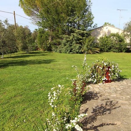 Karoubis Studio Kavallouri Kültér fotó